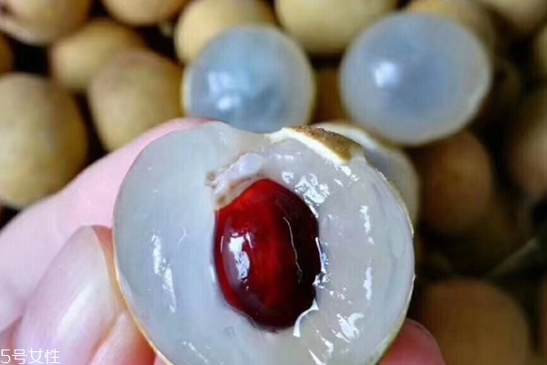 龙眼是怎么生长的,龙眼在什么地方生长