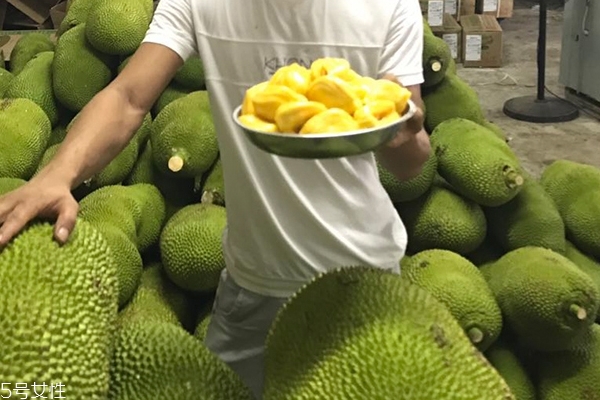 菠萝蜜有减肥的功效吗,菠萝蜜能减肥