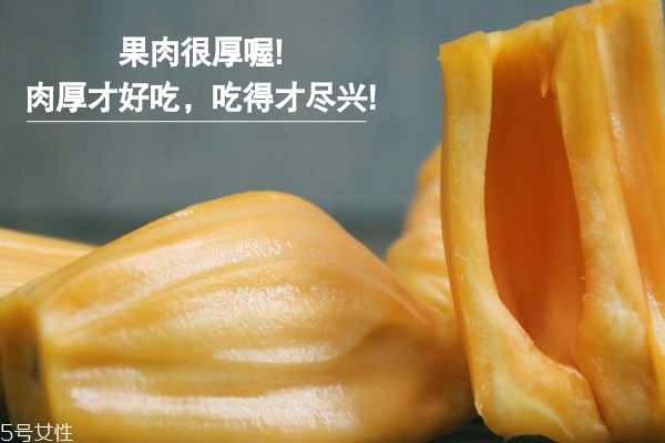 菠萝蜜怎么挑选整个的,菠萝蜜怎么挑选果肉大 菠萝蜜怎么挑选整个的,菠萝蜜怎么挑选果肉大