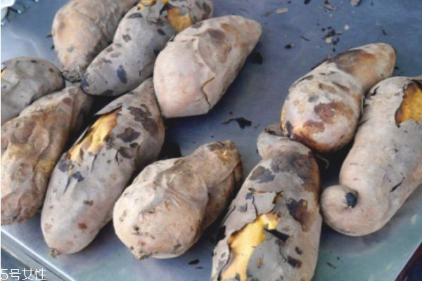 烤地瓜用什么地瓜,烤红薯用什么红薯最好 烤地瓜用什么地瓜,烤红薯用什么红薯最好