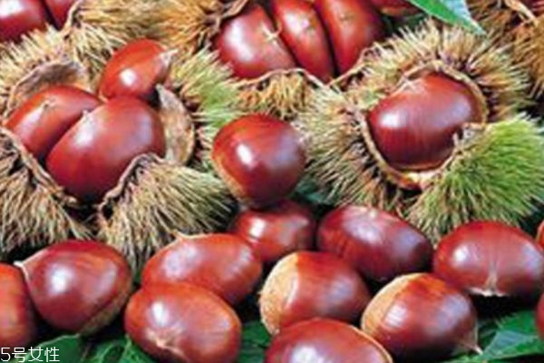 一天吃啥东西可以减肥,增加体重吃什么营养品