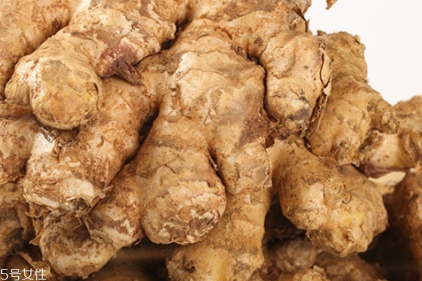 生姜的生长环境和气候,生姜的生长环境及地理位置 生姜的生长环境和气候,生姜的生长环境及地理位置