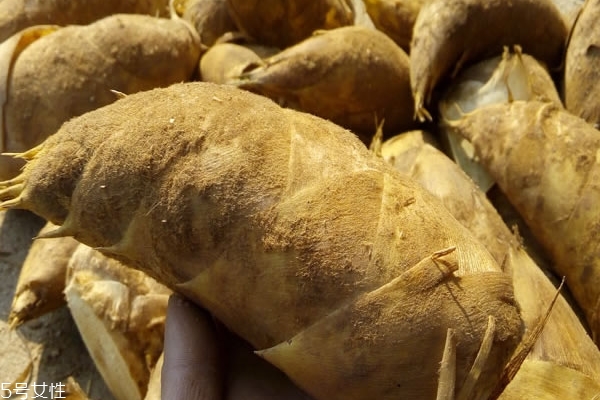 竹笋炒肉的家常做法,炒竹笋的做法 竹笋炒肉的家常做法,炒竹笋的做法