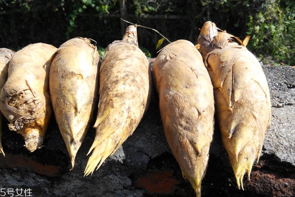 冬笋如何储藏,冬笋如何保藏