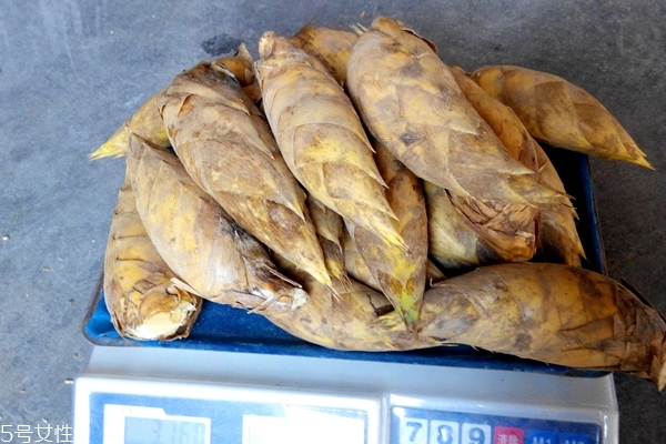 冬笋副作用,冬笋药用价值