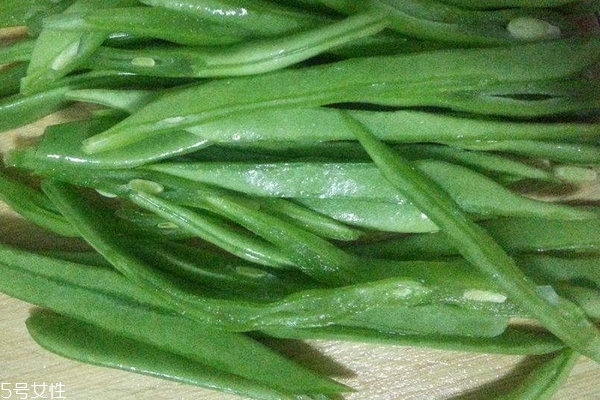 四季豆什么时候种最好,四季豆什么时候种植