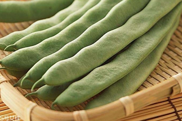 四季豆的生长环境,四季豆的生长环境要求