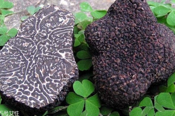 松露怎么吃最好,松露怎么吃最有营养价值 松露怎么吃最好,松露怎么吃最有营养价值