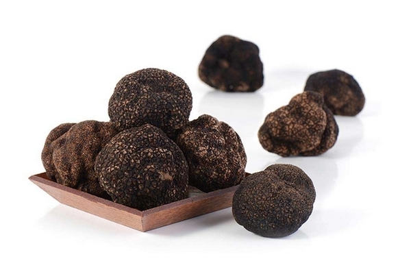 松露是什么东西,松露是什么东西?有哪些营养价值?