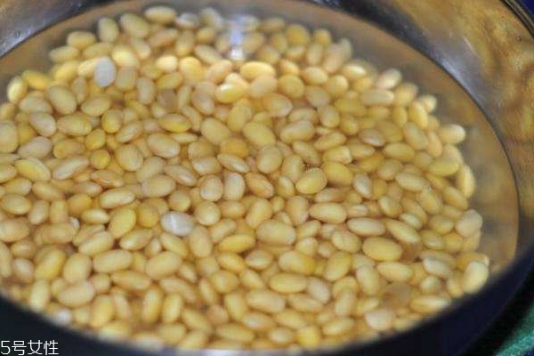 黄豆酱的制作方法和配方,黄豆酱的制作方法视频教程