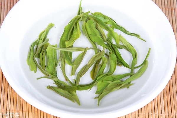 碧螺春小知识,什么是碧螺春