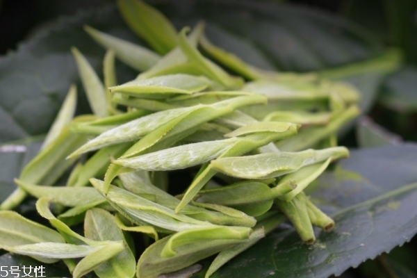 白茶保存方法和时间,白茶保存方法需冷藏吗 白茶保存方法和时间,白茶保存方法需冷藏吗
