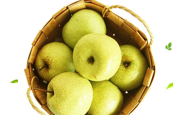 雪梨有什么用,雪梨怎么识别