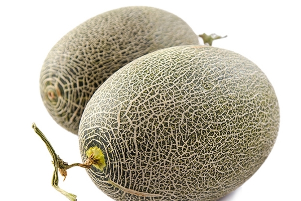 哈密瓜的药用价值,哈密瓜的药用价值和功效