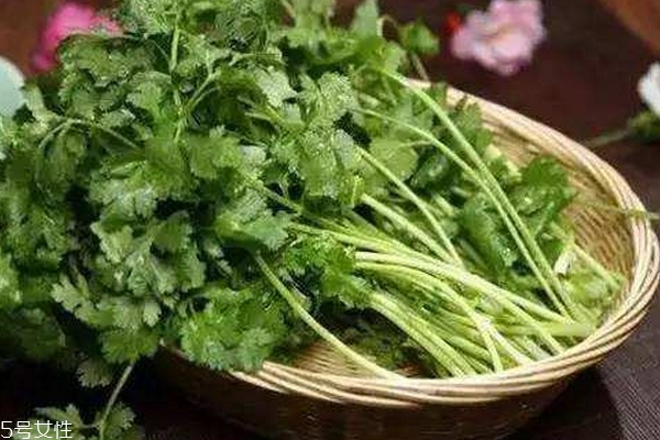 香菜的营养和价值,香菜的营养价值有哪些?