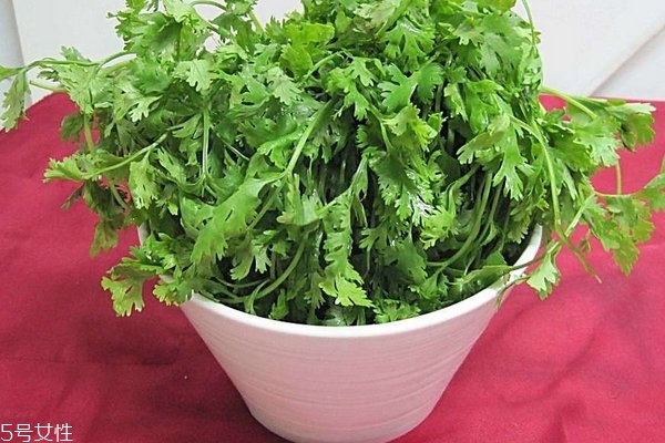 什么人不适合吃香菜,有些人不能吃香菜