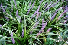 平价防晒霜排行榜(平价防晒霜排行榜前十名的牌子)