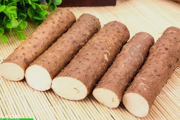 哪种山药最好吃,山药哪里产的最好正宗 哪种山药最好吃,山药哪里产的最好正宗