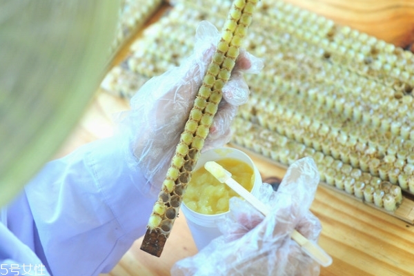 蜂王浆面膜的功效,蜂王浆面膜功效和作用