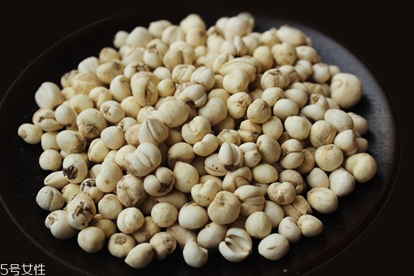 什么是川贝,川贝什么意思