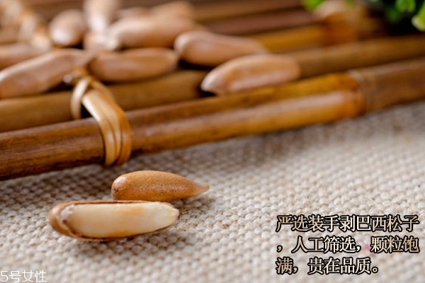 松子的主要价值,松子有何营养价值