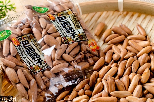 什么是松子,关于松子的介绍