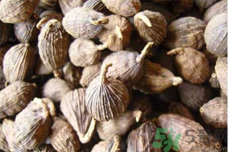 草果的作用(草果的作用和功效)