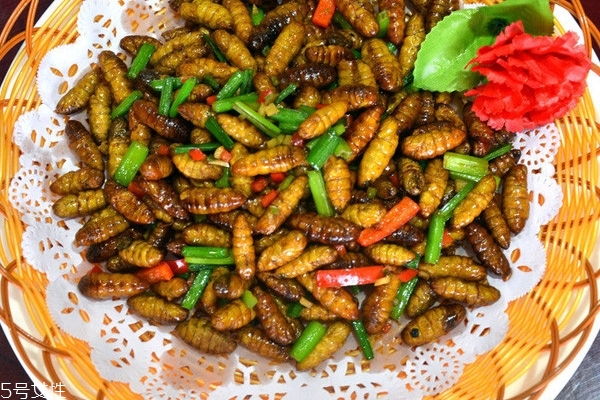 蜂蛹如何加工,蜂蛹如何加工熟冻 蜂蛹如何加工,蜂蛹如何加工熟冻