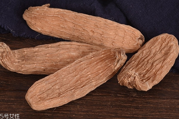 天麻的营养价值和功效,天麻的药用价值及功效