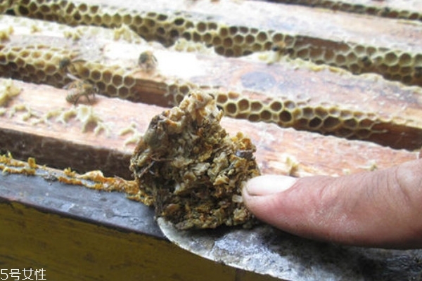 什么是蜂胶,蜂胶的属性和功能