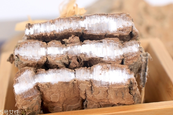 杜仲有什么用,什么是杜仲