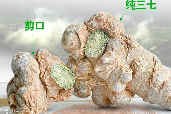 田七有什么作用,什么叫田七