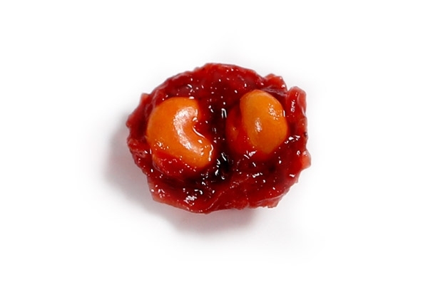 五味子长什么样子图片,五味子长什么样子 五味子长什么样子图片,五味子长什么样子