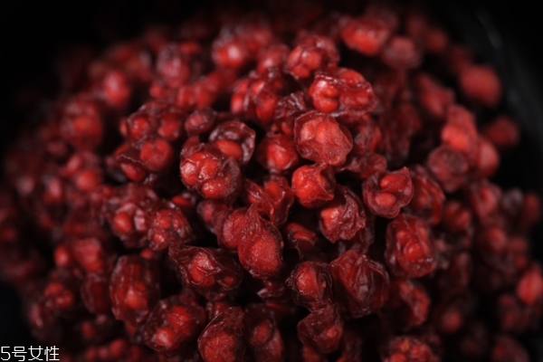 五味子的功效和作用是什么,五味子的功效和作用的功能和主治