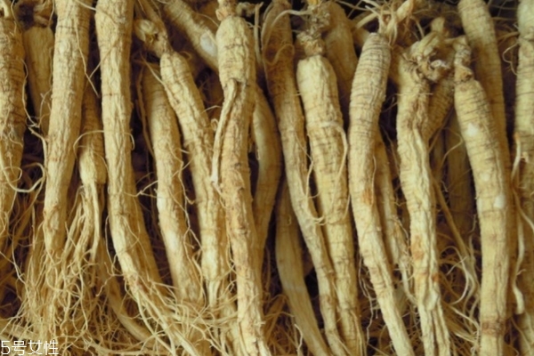 野山参如何鉴别,野山参年份怎样鉴别