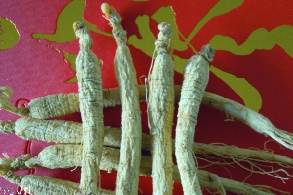 东北野山参怎么吃好,东北野山参怎么吃