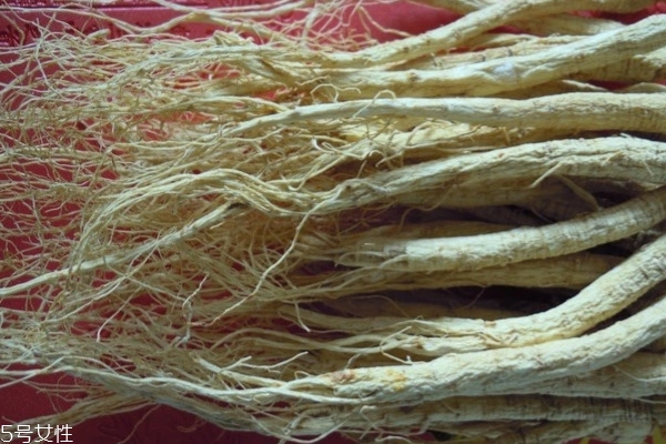 如何分辨野山参,什么是野山参