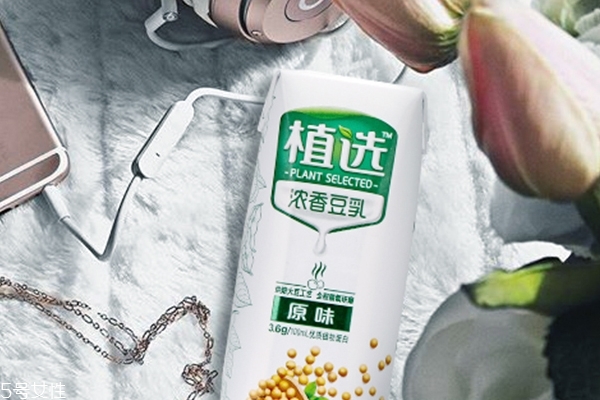 什么是豆奶,豆奶和豆乳