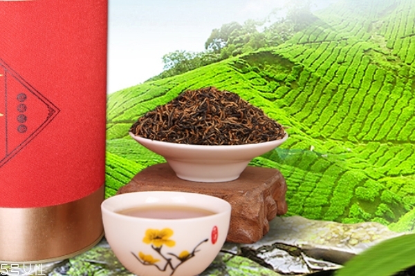 冰红茶的分类,冰红茶的种类 冰红茶的分类,冰红茶的种类