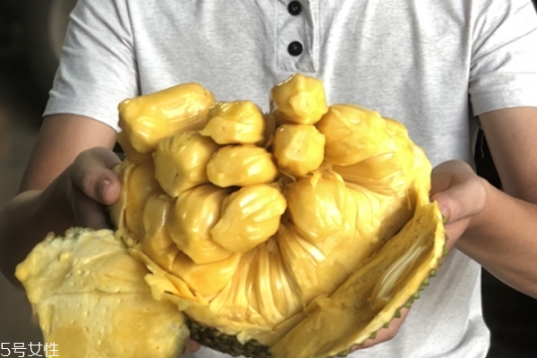 菠萝蜜臭了还能吃吗,菠萝蜜发臭能吃吗