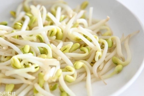 豆芽小知识,土豆小知识 豆芽小知识,土豆小知识