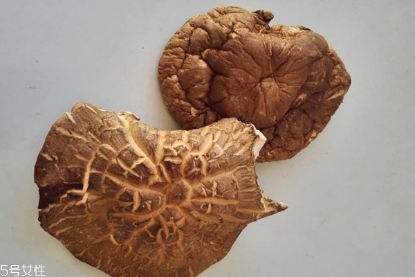 香菇的功效和作用,香菇的功效和作用及营养价值