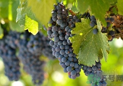 每天坚持擦身体乳的好处(坚持擦身体乳有什么好处) 每天坚持擦身体乳的好处(坚持擦身体乳有什么好处)