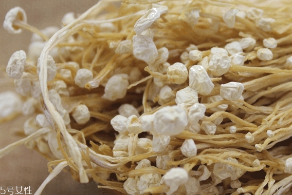 凉拌金针菇介绍,金针菇介绍