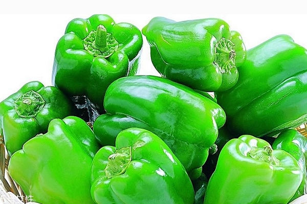 青椒小知识,关于青椒的知识