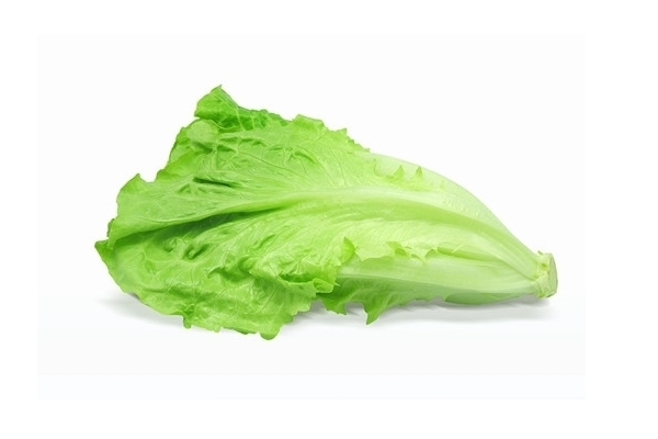 生菜吃多了有什么危害生菜里有草酸吗,生菜吃多了有什么危害吗