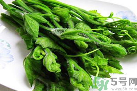 牙齿美白小窍门(牙齿如何美白小窍门) 牙齿美白小窍门(牙齿如何美白小窍门)