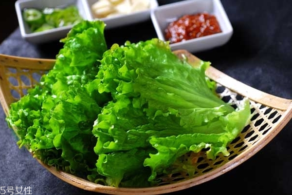 生菜小知识,关于生菜的知识 生菜小知识,关于生菜的知识