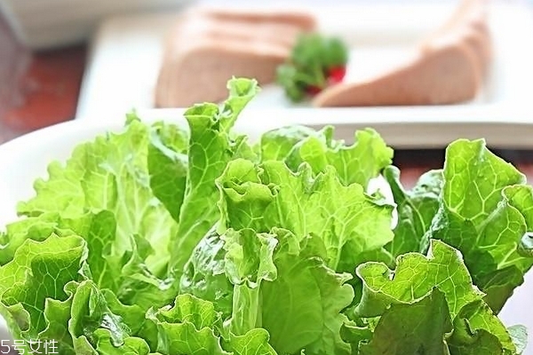 生菜会长虫吗,生菜会长虫子吗