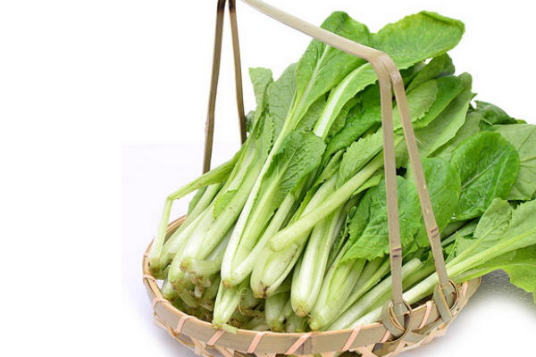 白菜的食用价值,白菜的食用价值是什么